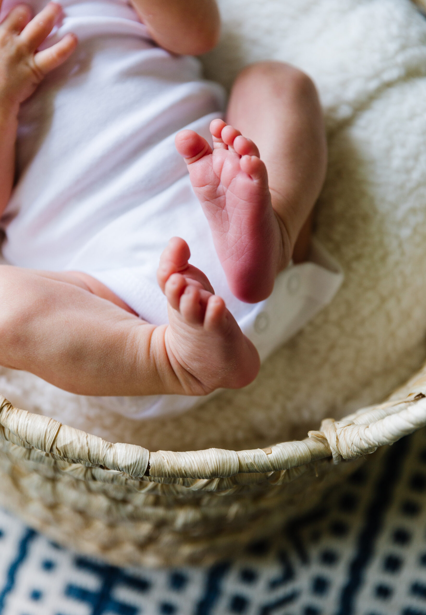 HaleNewborns-10.JPG