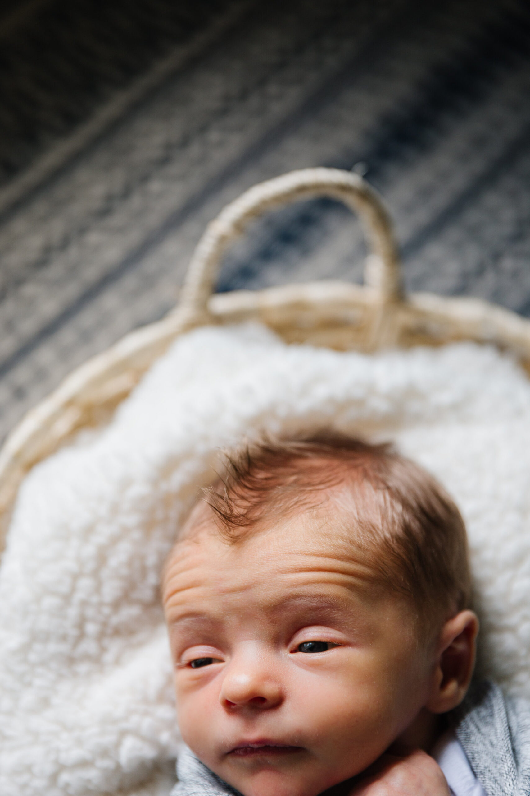 HaleNewborns-8.JPG